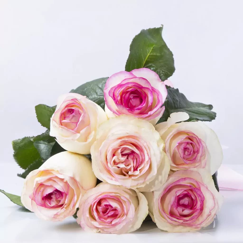 دسته گل رز هلندی لب ماتیکی کد 6250 — تصویر ۳