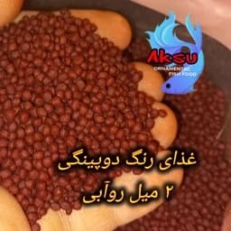 غذای رنگ دوپینگی گرانول روابی 2 میل اکسو گیاه خوار و گوشت خوار 100 گرمی کوی چانا آروانا اسکار فلاور سیچلاید آفریقایی .. — تصویر ۲