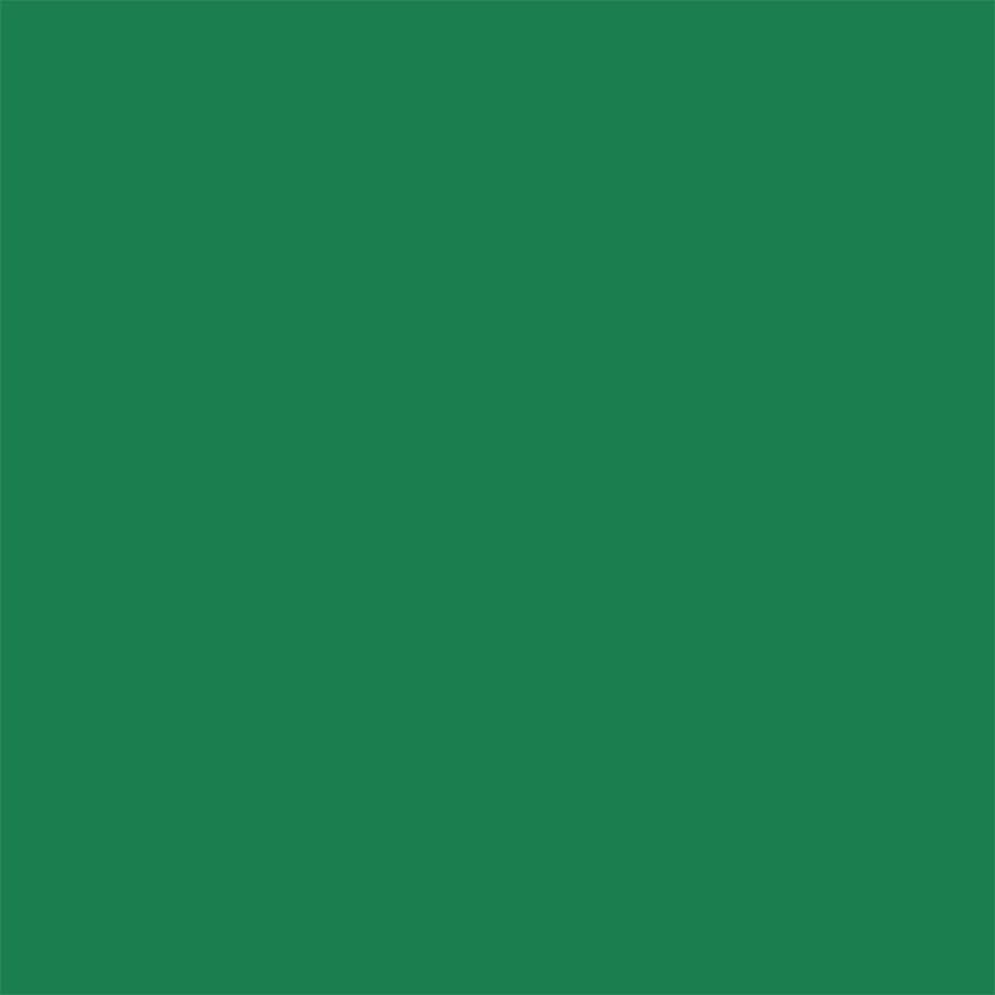 فون کاغذی سوج Savage Widetone Seamless #35 Holly 2.73×11 m