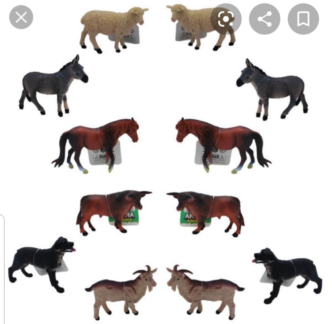 فیگور حیوانات مدل Animal Kingdom مجموعه 12 عددی