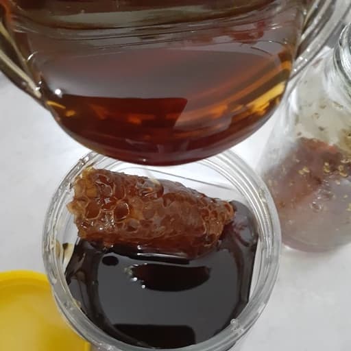عسل سیاه یک کیلو با ژل رویال 50 گرم مخلوط میفرستم