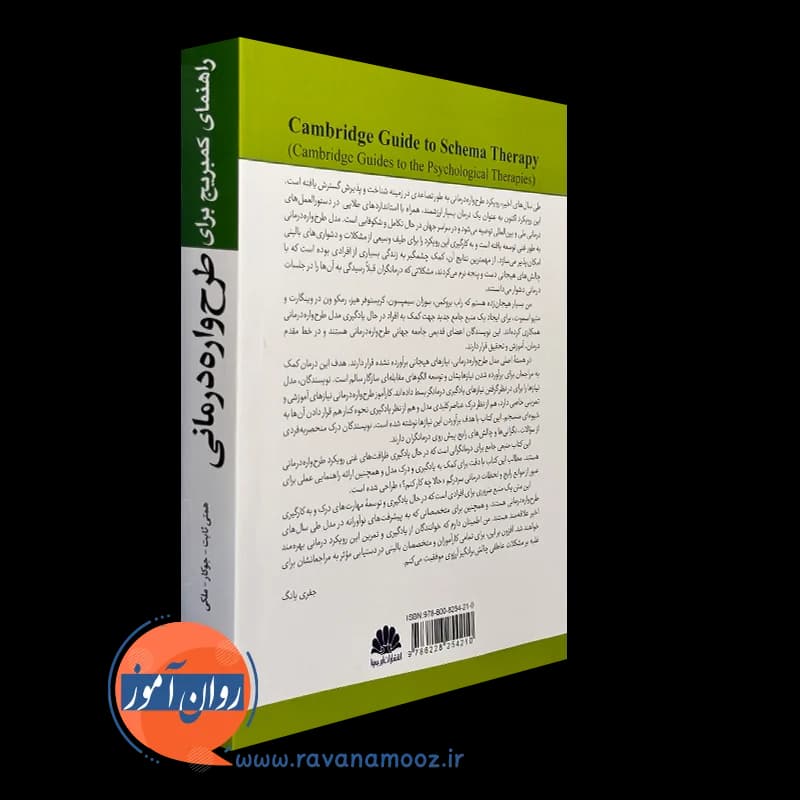 راهنمای کمبریج برای طرحواره درمانی – رابرت بروکمن — تصویر ۳