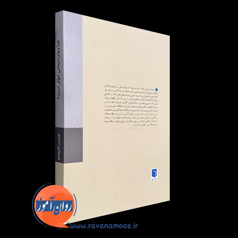 چرا روان درمانی موثر است؟ – لوئیس کازولینو — تصویر ۳