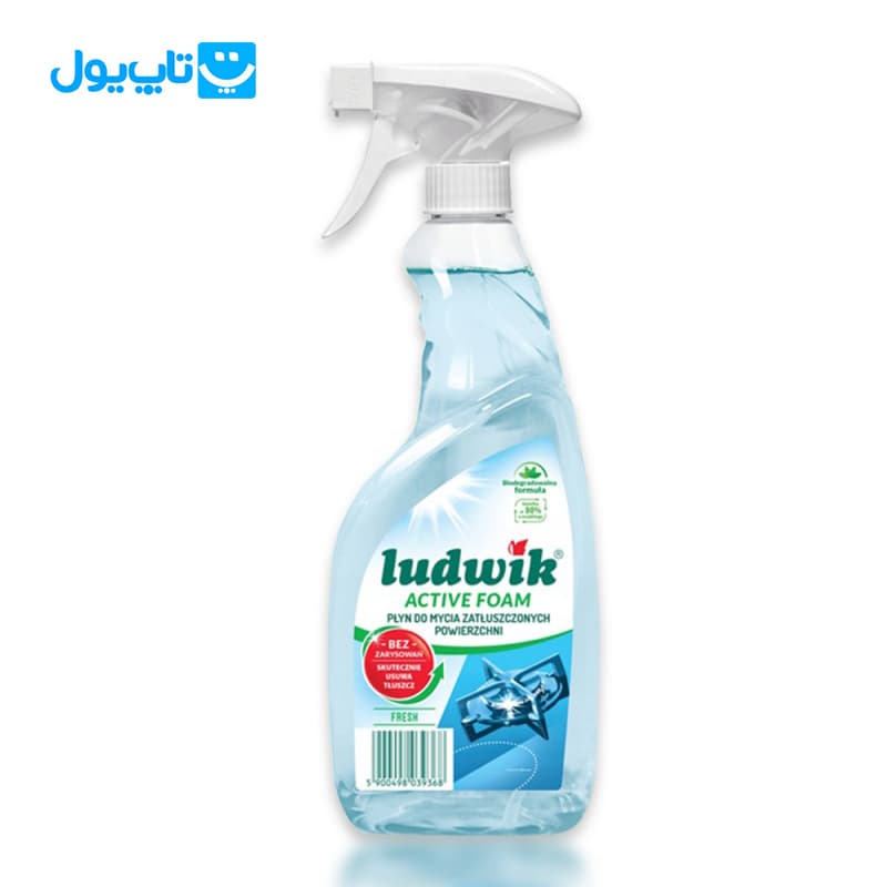 اسپری گاز پاککن لودویک Ludwik مدل Active foam با رایحه Fresh حجم 600 میلیلیتر