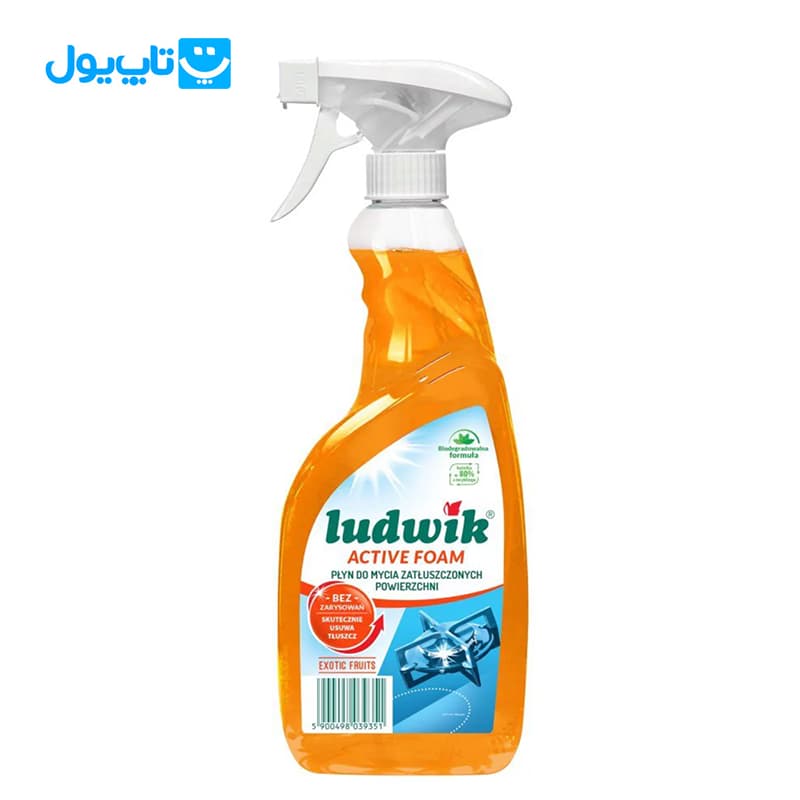 اسپری گاز پاک کن لودویک Ludwik مدل Active Foam با رایحه پرتقال حجم 600 میلیلیتر