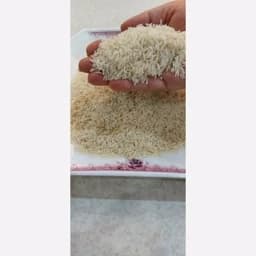 برنج طارم محلی مازندران — تصویر ۲