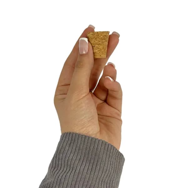 چوب پنبه مخروطی کوچک — تصویر ۲