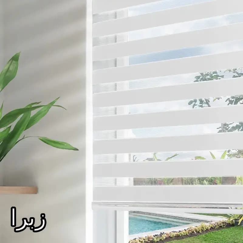 پرده زبرا سه بعدی کد 1439777 مدل سه بعدی قاصدک با پس زمینه مکعبی — تصویر ۴