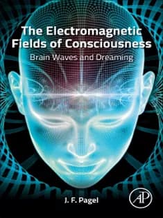 دانلود کتاب The Electromagnetic Fields of Consciousness Brain Waves and Dreaming