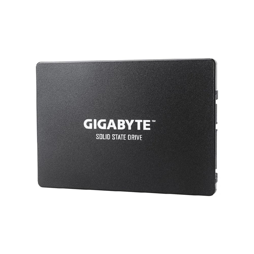 حافظه اس اس دی اینترنال گیگابایت مدل GP-GSTFS31256GTND ظرفیت 256 گیگابایت