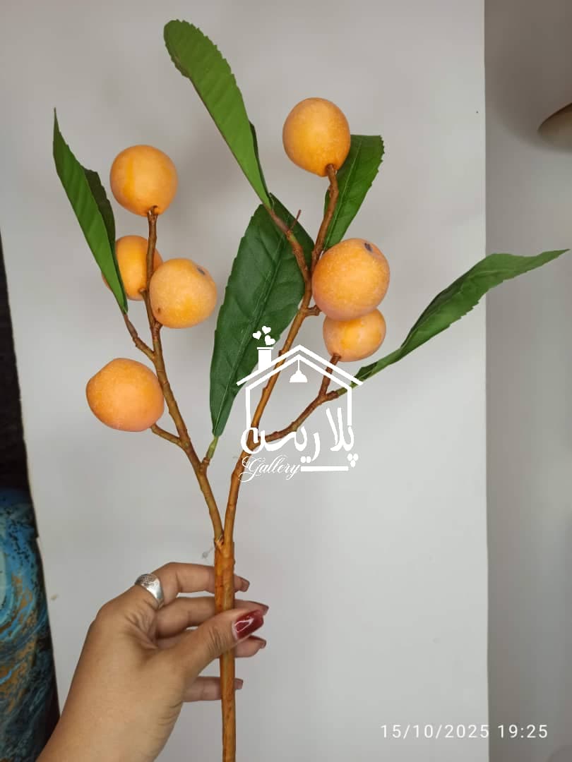 شاخه ازگیل 16268