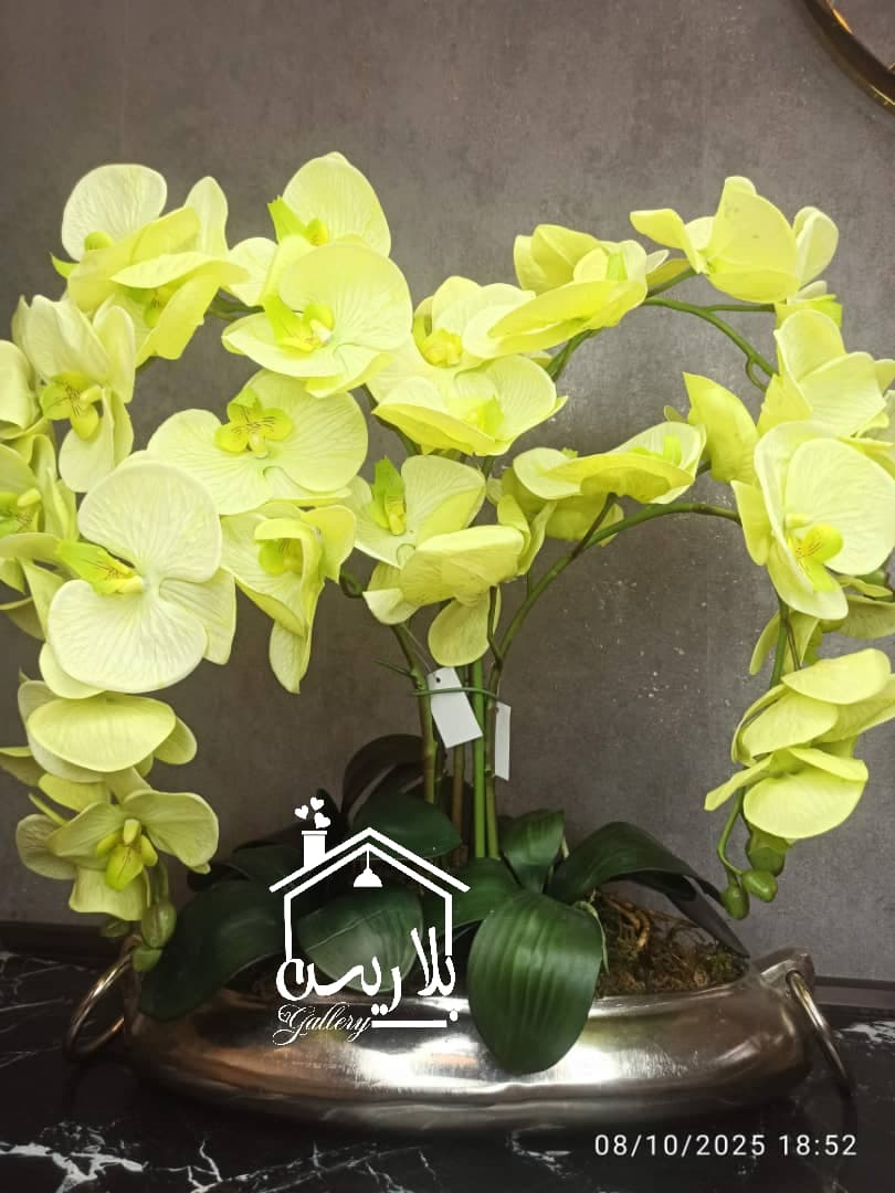 شاخه گل ارکیده ۹گل چرمی ۱۶۲۴۹ — تصویر ۵