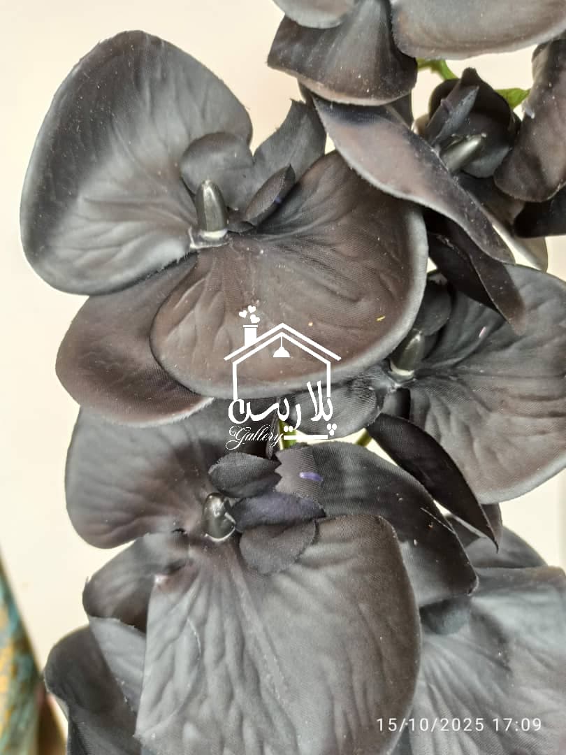 شاخه گل ارکیده ۹گل چرمی ۱۶۲۴۹ — تصویر ۳