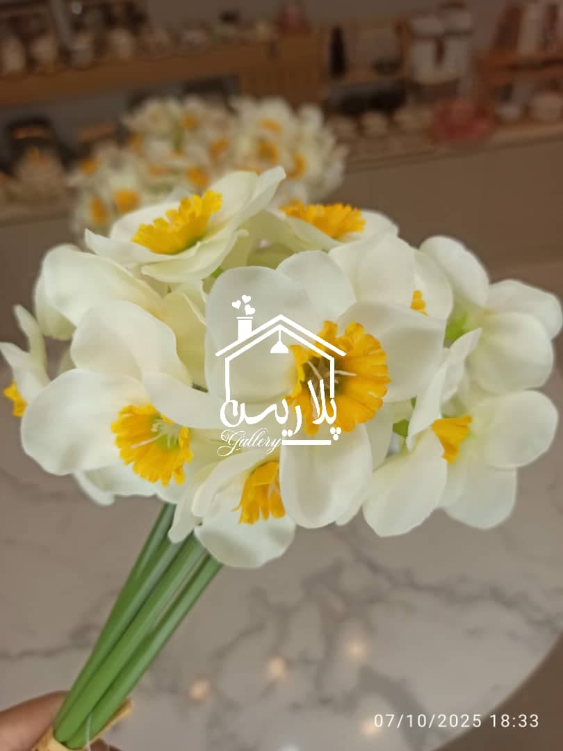 دسته گل نرگس(شهلا) وارداتی 16246 — تصویر ۳