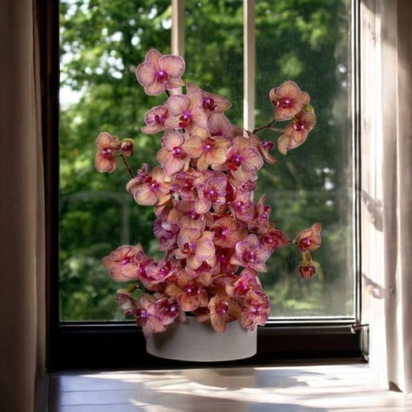 ارسال گل طبیعی برای باشگاه های تهرانسر