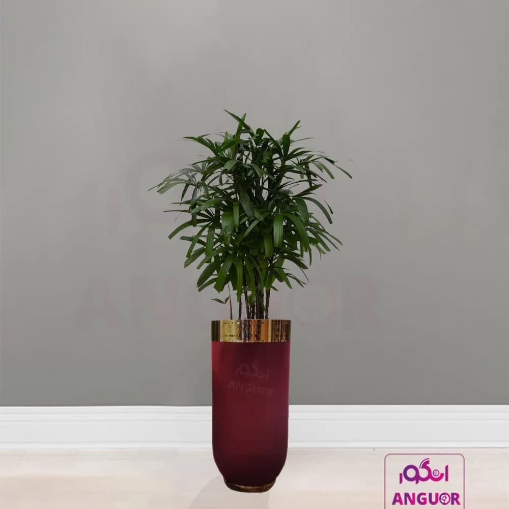 گلدان فلزی روکش مخملی با نخل راپیس (125- 145 سانتی)