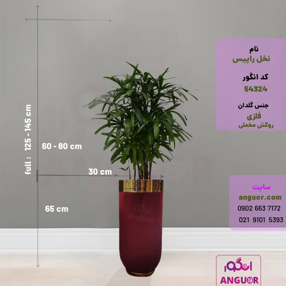 گلدان فلزی روکش مخملی با نخل راپیس (125- 145 سانتی) — تصویر ۲