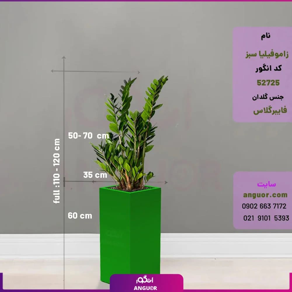 گلدان لوکس مستطیل فایبرگلاس همراه با زاموفیلیا سبز — تصویر ۲