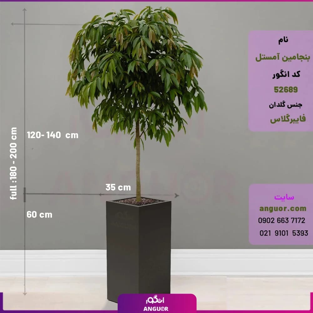 گلدان لوکس مستطیل فایبرگلاس همراه با کینگ بنجامین آمستل — تصویر ۲