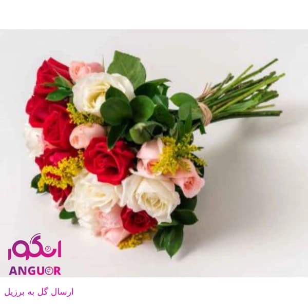 دسته گل رزهای رنگارنگ(ارسال گل به برزیل)