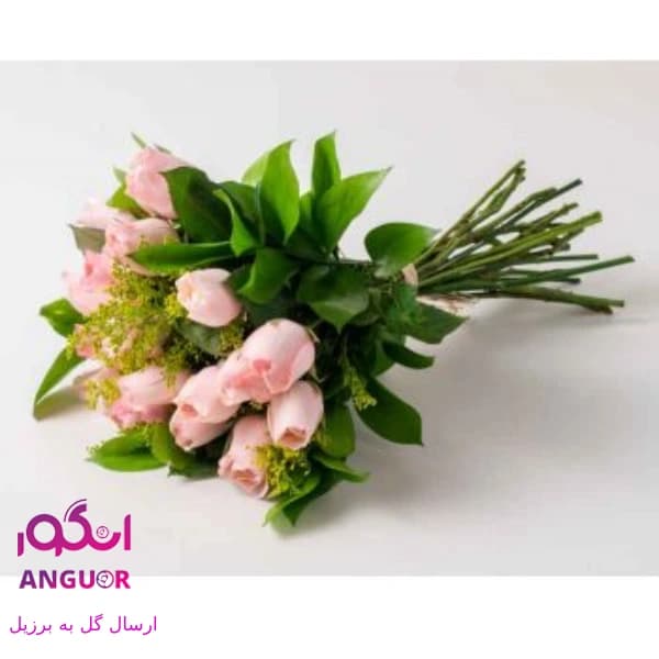 دسته گل رز زیبا (ارسال گل به برزیل)