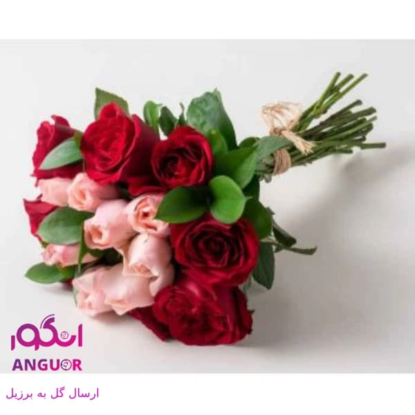 دسته گل رز 2 رنگ (ارسال گل به برزیل)
