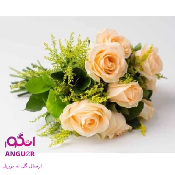 دسته گل رز شامپاین (ارسال گل به برزیل)