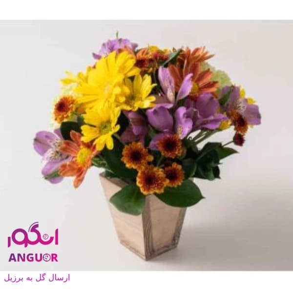 باکس گل ترکیبی (ارسال گل به برزیل)