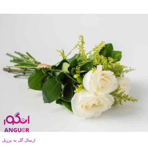 دسته گل رز سفید (ارسال گل به برزیل)
