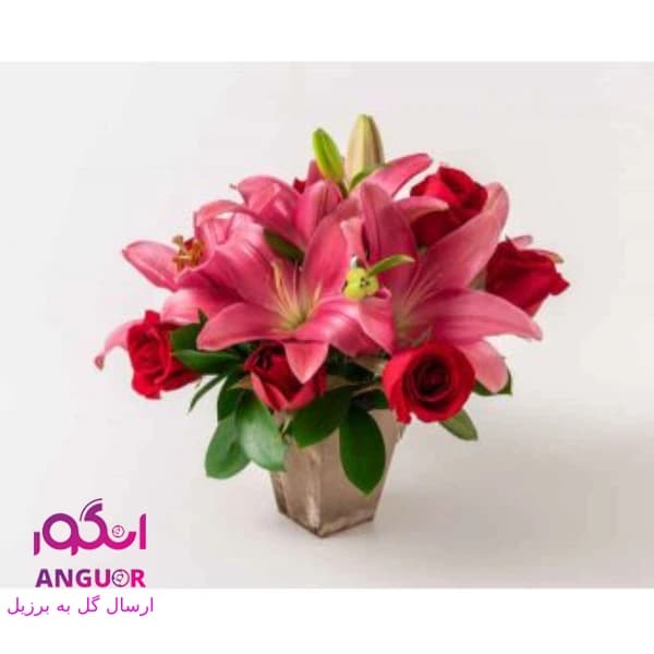 باکس گل رز ولیلیوم (ارسال گل به برزیل)