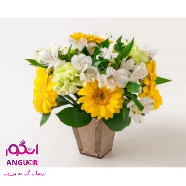 باکس گل ژربرا (ارسال گل به برزیل)