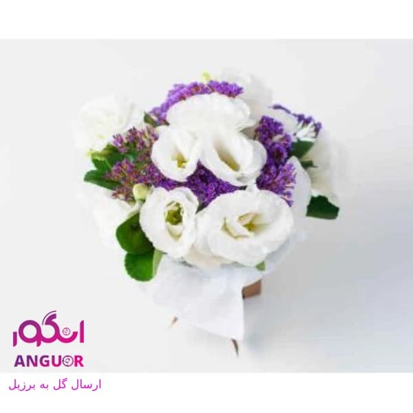 دسته گل عشق (ارسال گل به برزیل)