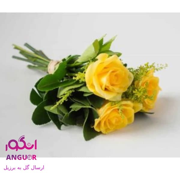 دسته گل رز زرد (ارسال گل به برزیل)