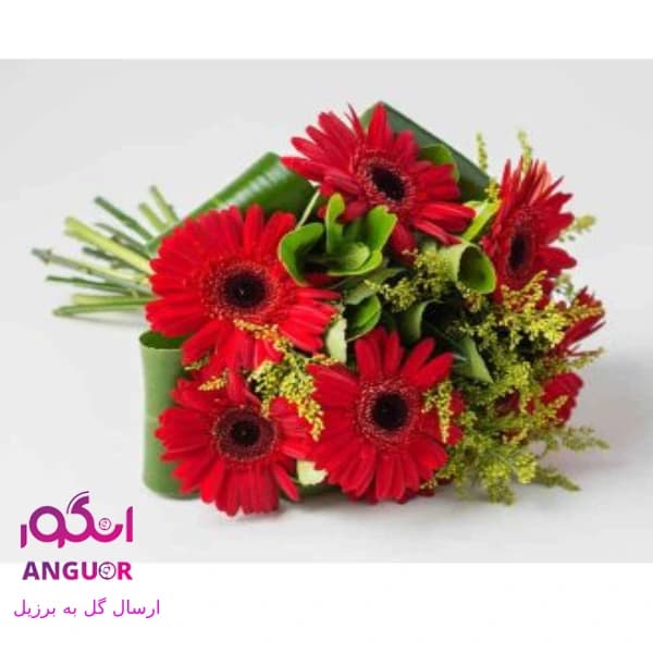 دسته گل ژربرا(ارسال گل به برزیل)