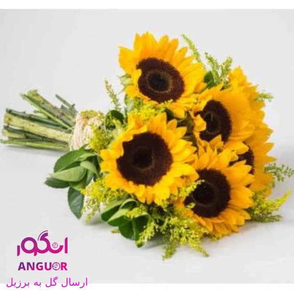 دسته گل آفتابگردان (ارسال گل به برزیل)