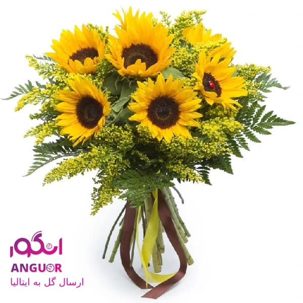دسته گل آفتابگردان (ارسال گل به ایتالیا)