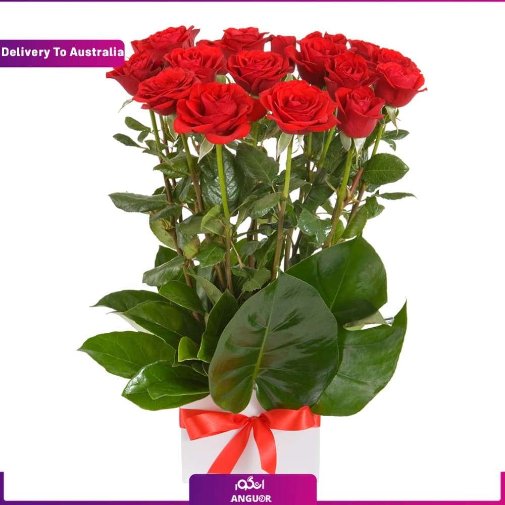 باگس گل رز قرمز 15 عددی (ارسال دسته گل به استرالیا)