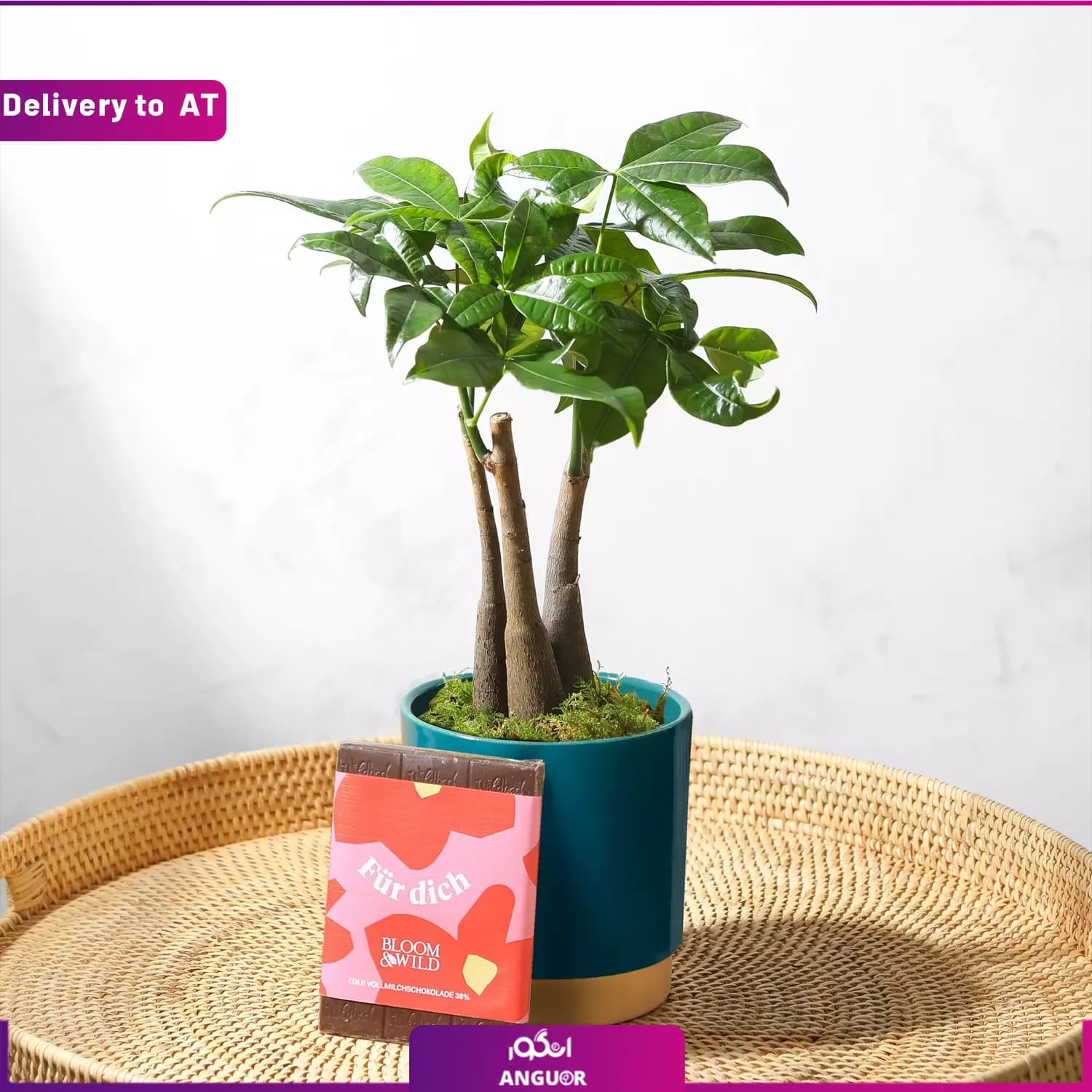 (Delivery to Austria) moeny tree
