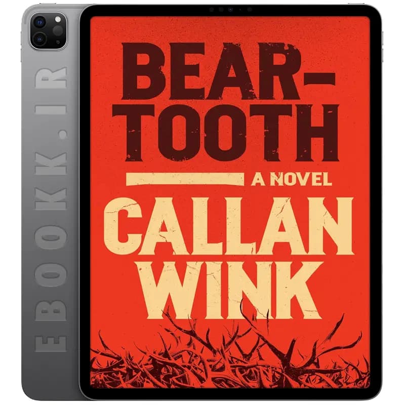 دانلود کتاب Beartooth 2025