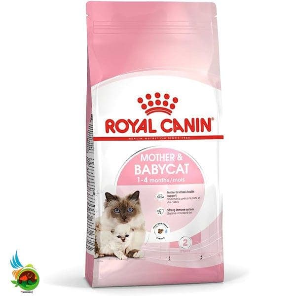 غذای خشک گربه رویال کنین بچه گربه ها و مادران Mother &amp; Babycat وزن 2 کیلوگرم