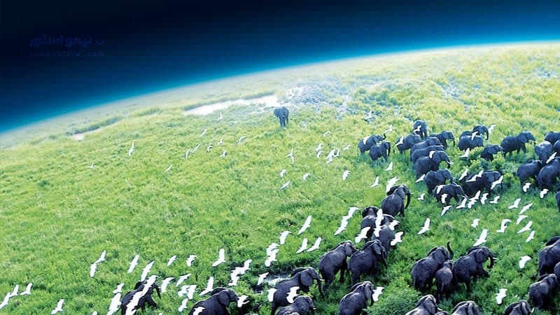 مستند سیاره زمین Planet Earth I — تصویر ۶