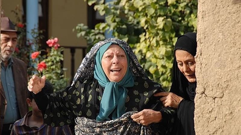 سریال قفسی برای پرواز — تصویر ۴