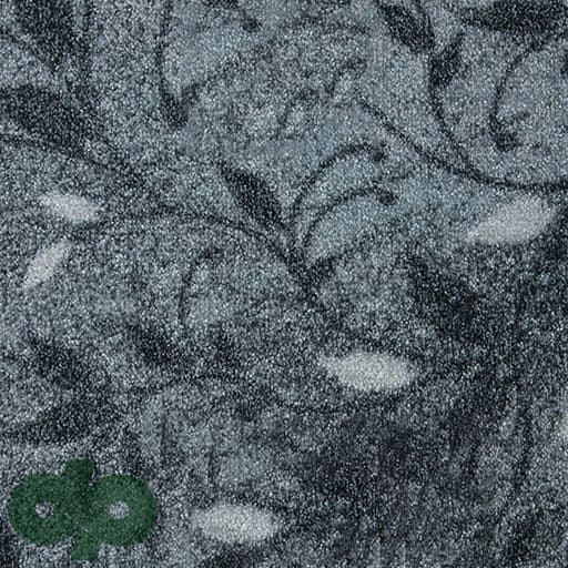 موکت ظریف مصور طرح ائل گلی 5066