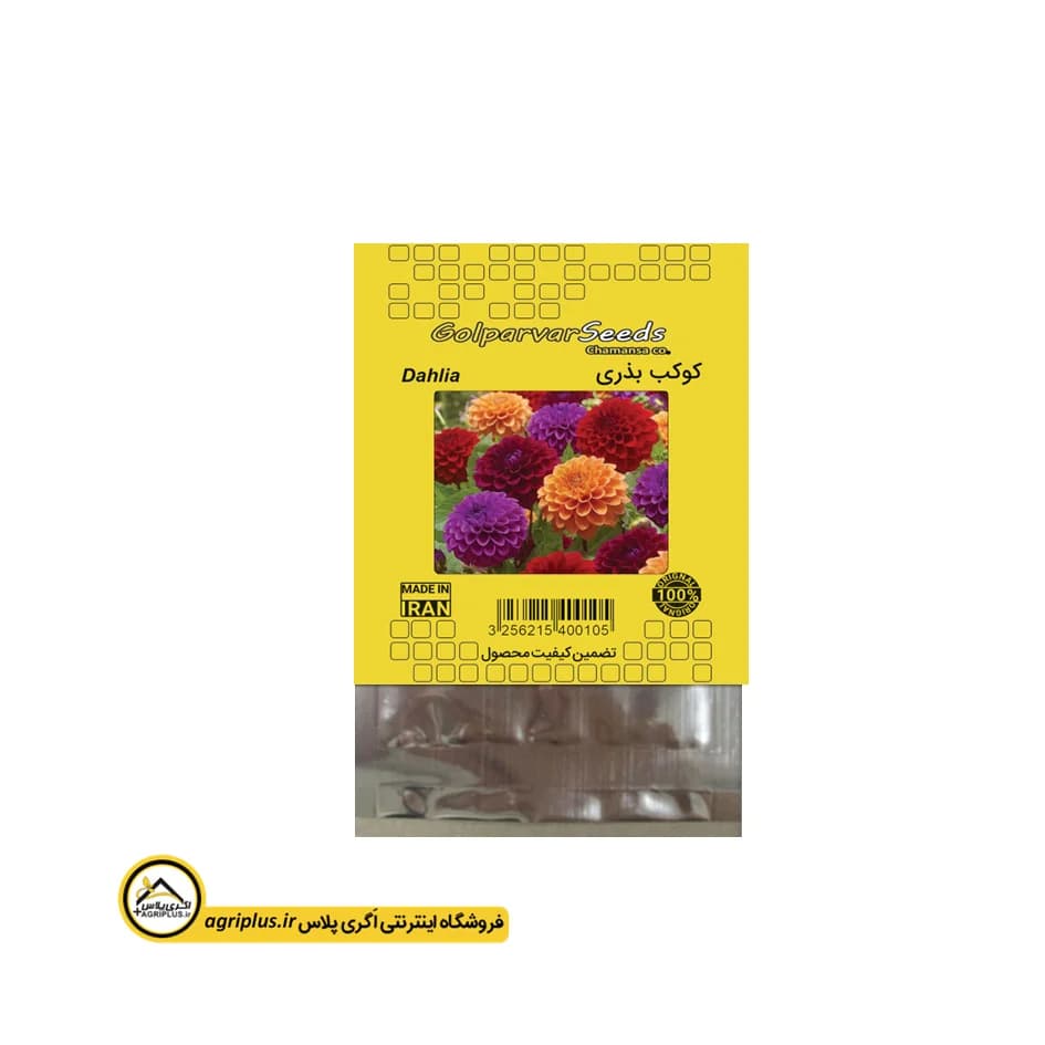 بذر گل کوکب (یکساله) بذری بسته بندی خانگی — تصویر ۲