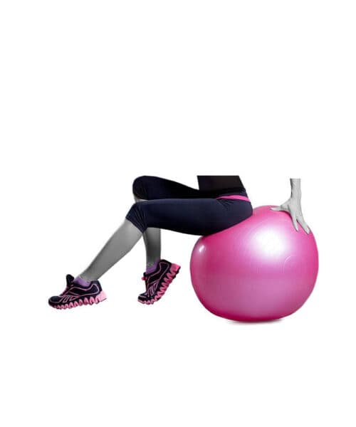 توپ ایروبیک ( جیم بال ) POWERGYM — تصویر ۴