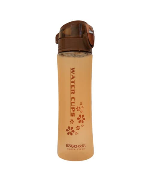 قمقمه شیشهای Xiqi مدل WaterCups-750