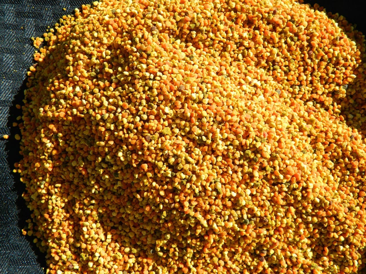 گرده گل طبیعی 50 گرمی — تصویر ۲