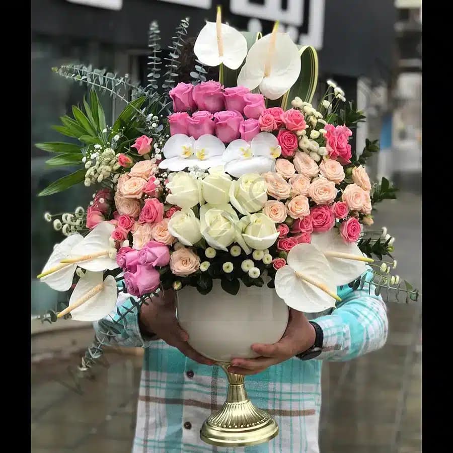 جام گل آرماند — تصویر ۲
