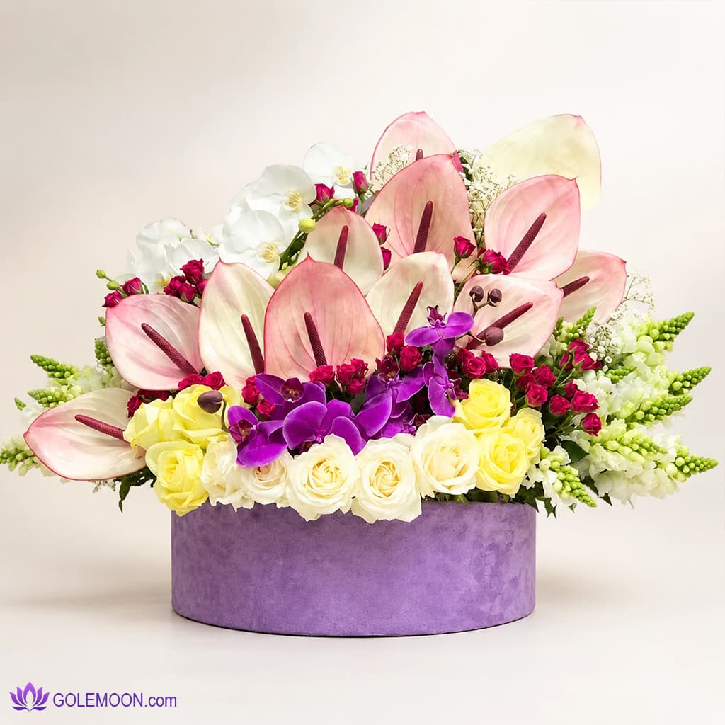 باکس گل ریموند