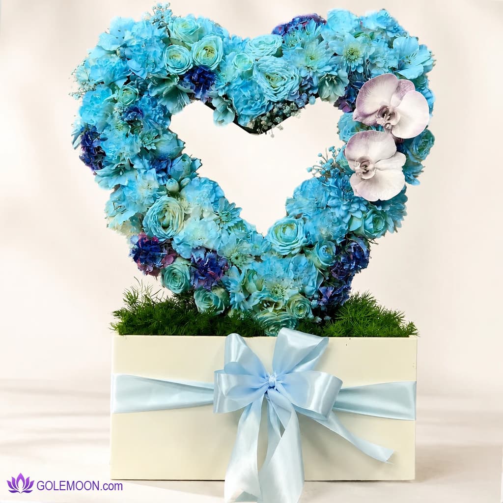 باکس گل هوگو